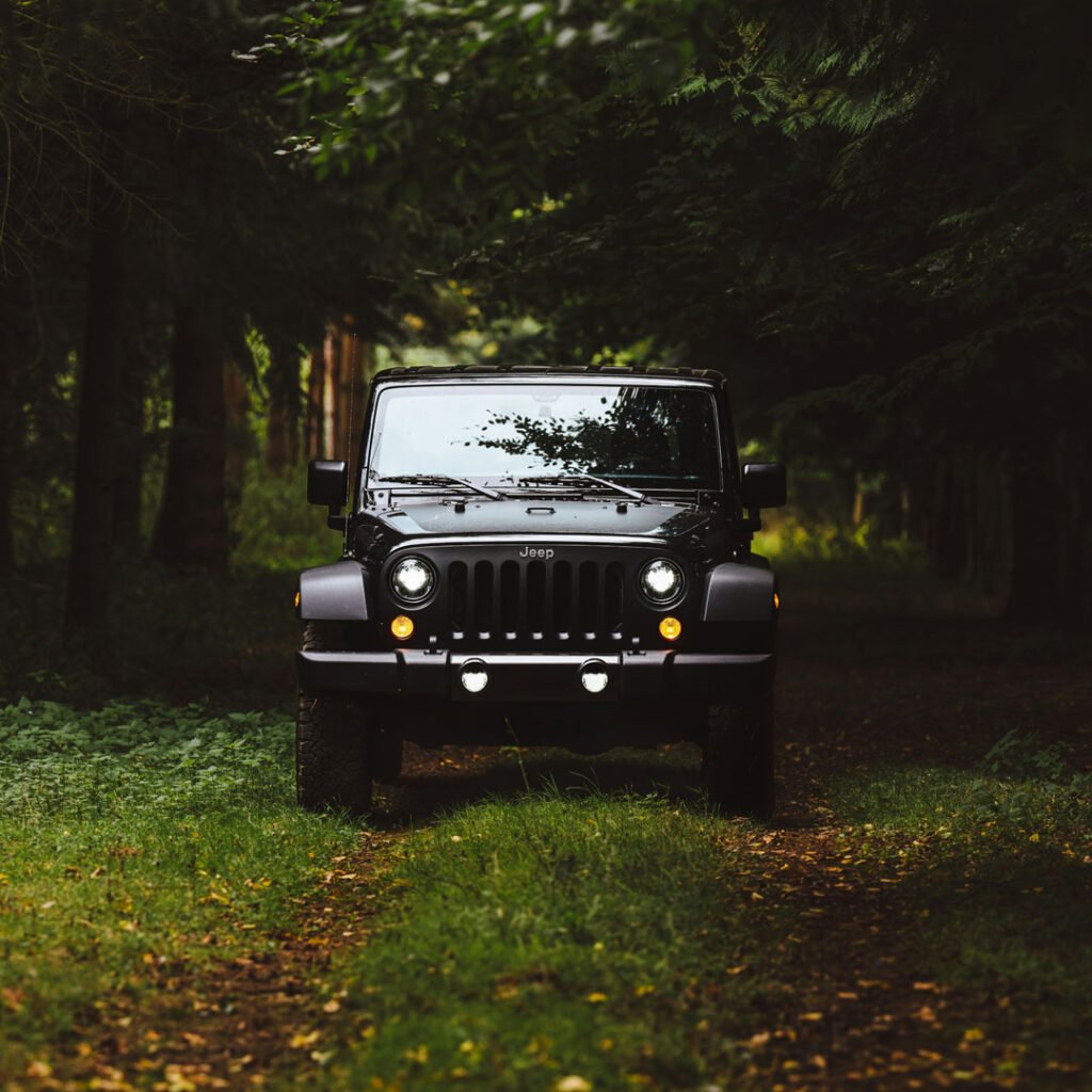 Jeep im Wald